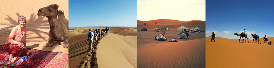 Bilderleiste mit Bildern über Marokko: Gruppe durch die Wüste laufend, Zelte, Kamelreiten
